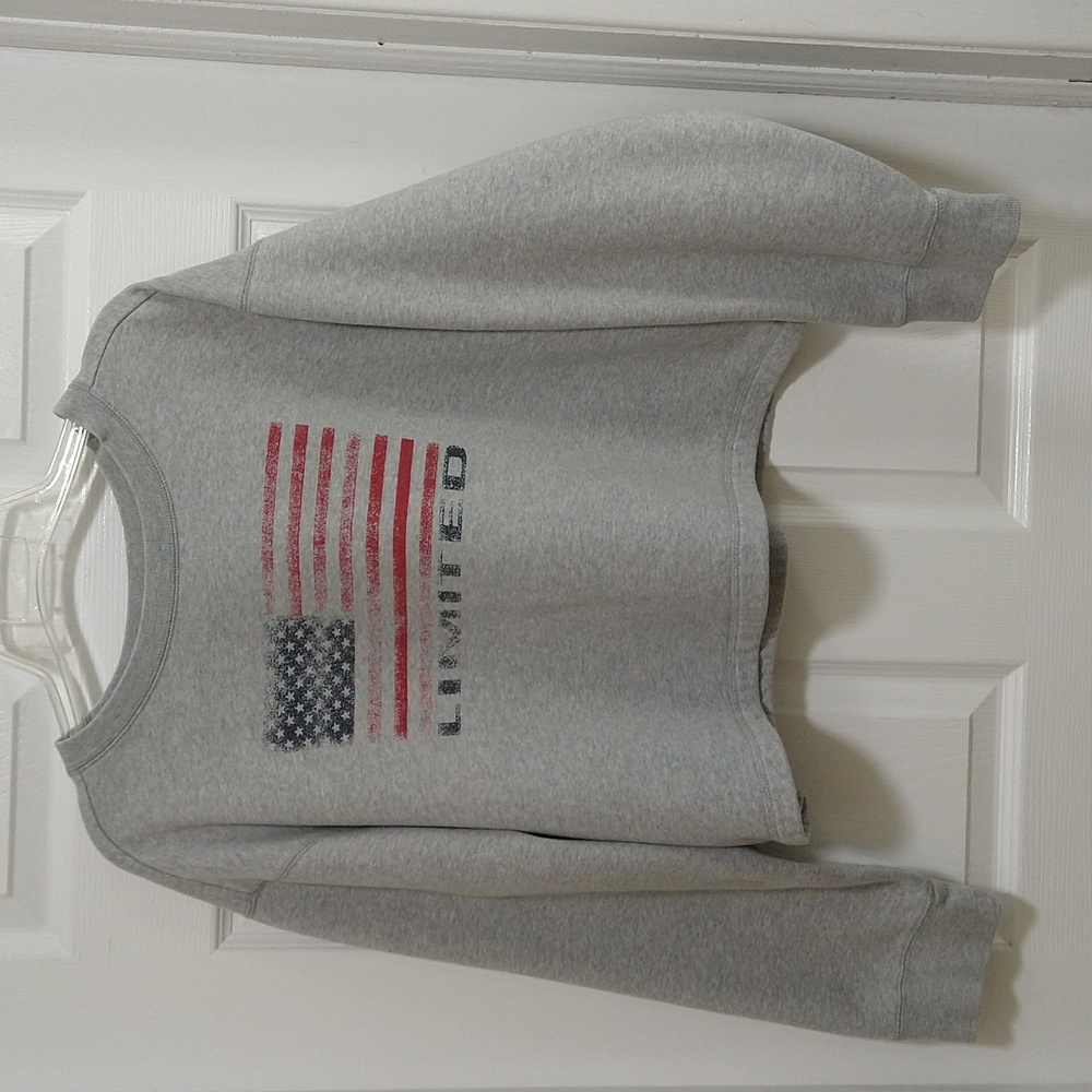 Womens, XL, cropped, grey, The Limited , graphic logo sweatshirt.